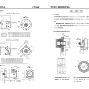 F2K系列擺線液壓馬達(dá)